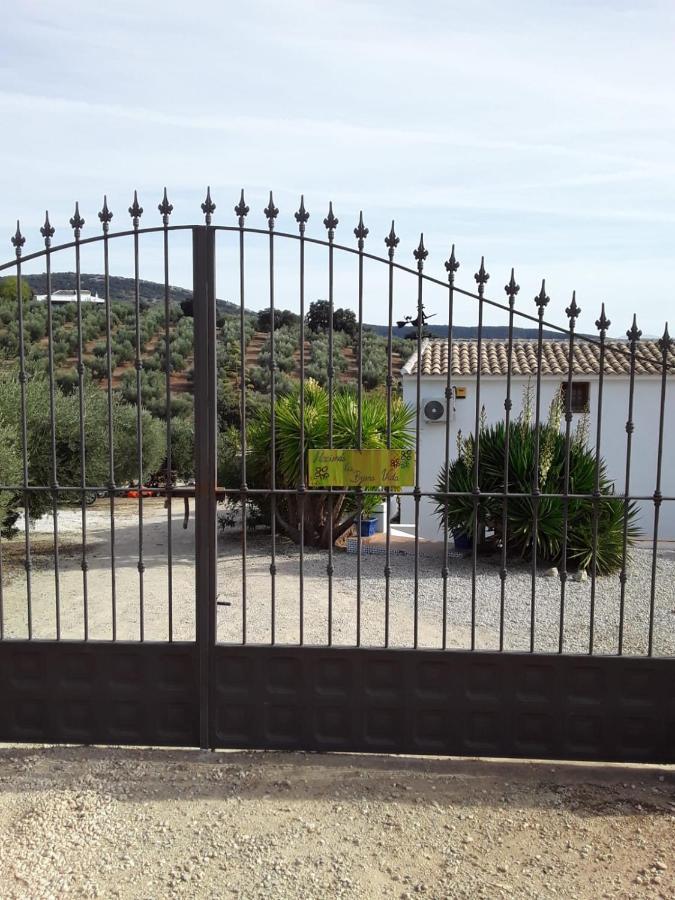 Hacienda La Buena Vida B&B En Appartementen Casita Almendas La Carrera de la Vina Ngoại thất bức ảnh