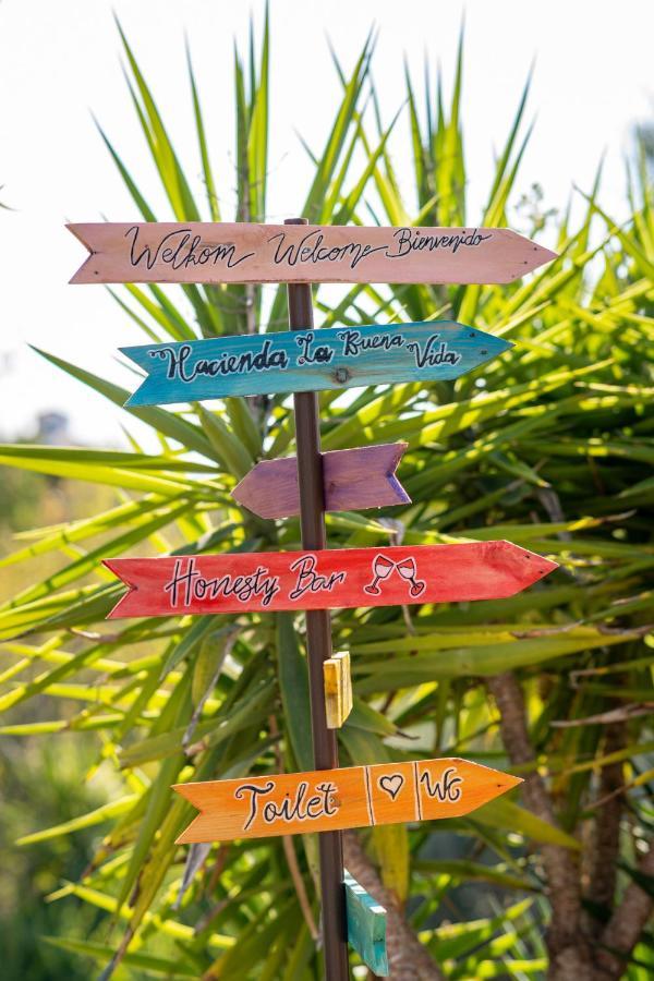 Hacienda La Buena Vida B&B En Appartementen Casita Almendas La Carrera de la Vina Ngoại thất bức ảnh